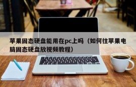 Can Apple Solid State Drives be used on PCs (How to put a video tutorial on Apple Solid State Drives)