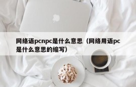What does the Internet word pcnpc mean (abbreviation of what the Internet word pc means)