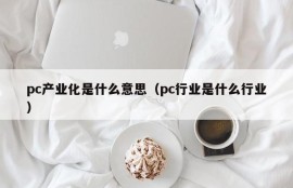 What does pc industrialization mean (what is the pc industry)