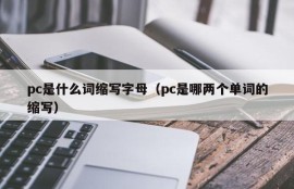What is the abbreviation of pc (which two words are the abbreviation of pc)