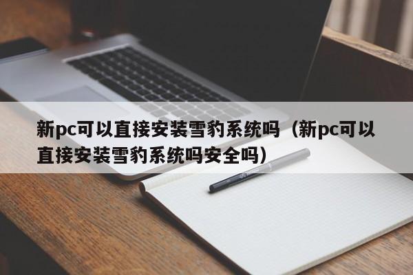 新pc可以直接安装雪豹系统吗(新pc可以直接安装雪豹系统吗安全吗)