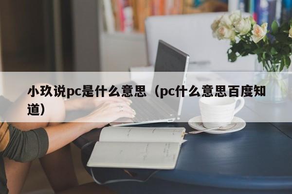 小玖说pc是什么意思(pc什么意思百度知道)