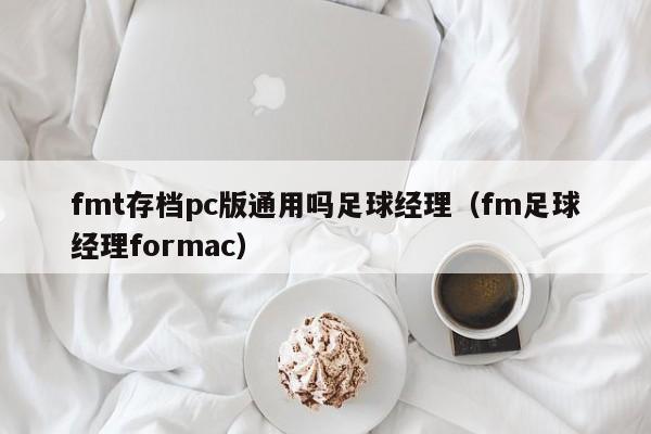 fmt存档pc版通用吗足球经理(fm足球经理formac)