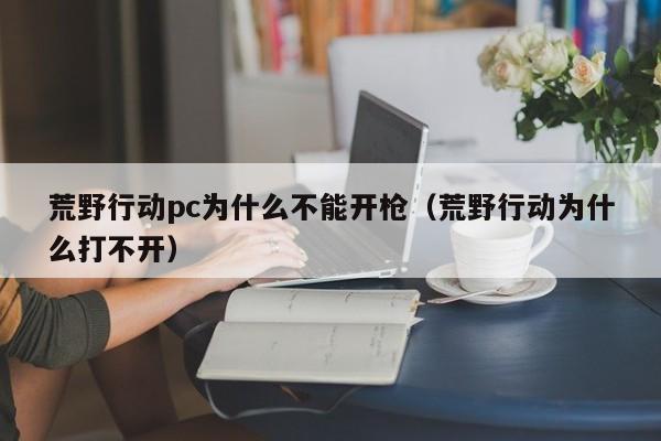 荒野行动pc为什么不能开枪(荒野行动为什么打不开)