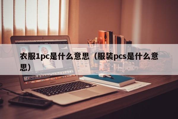 衣服1pc是什么意思(服装pcs是什么意思)