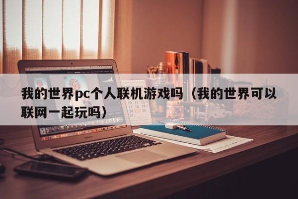 我的世界pc个人联机游戏吗(我的世界可以联网一起玩吗)